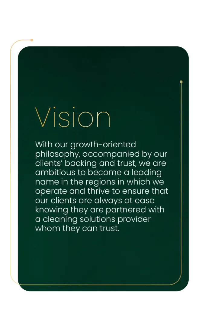 vision gator about us in saudi arabia